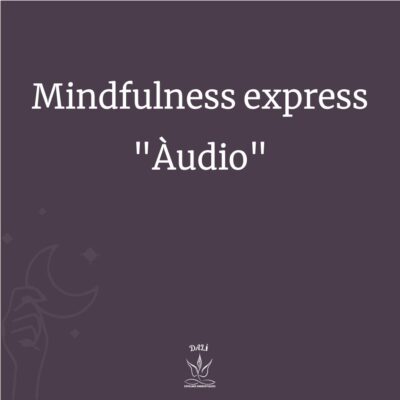 Mindfulness express Audio