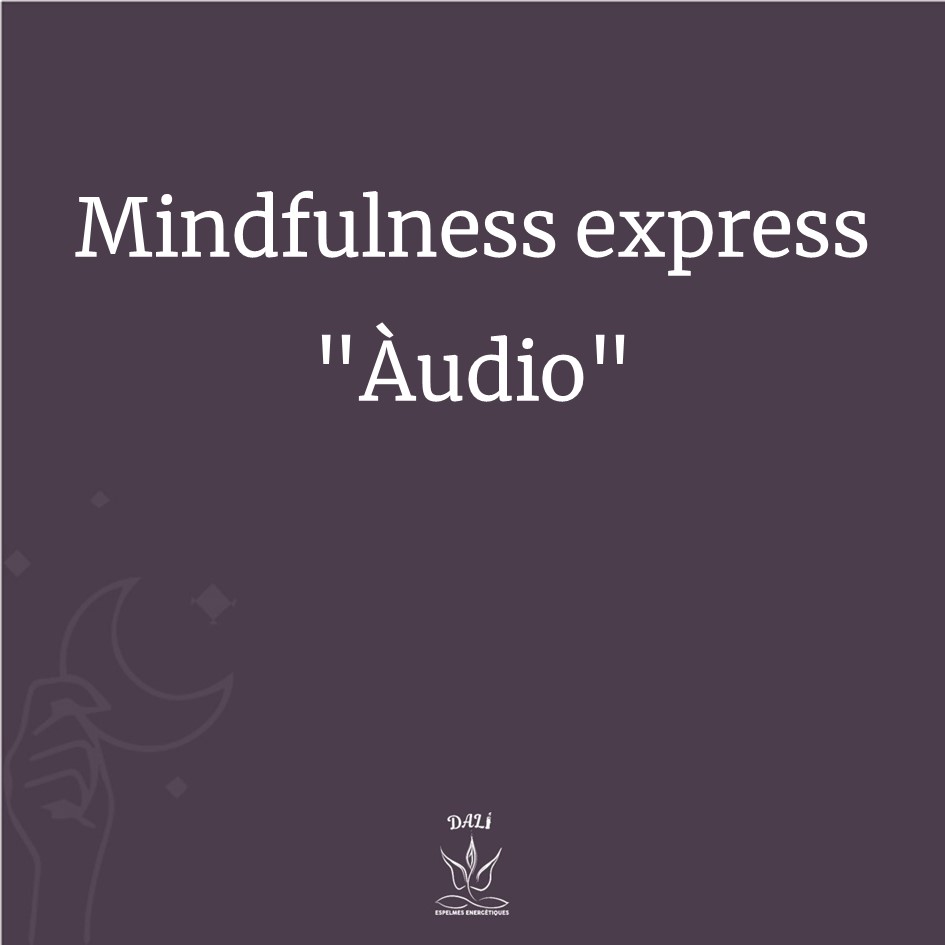 Mindfulness express Audio